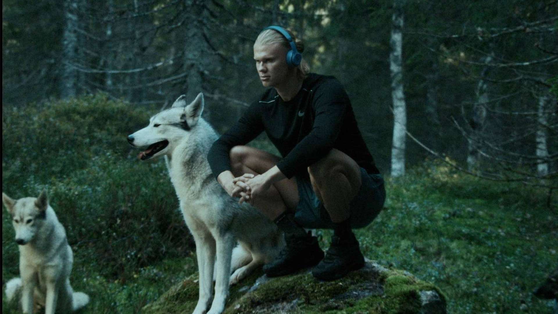 化的环境 化的环境